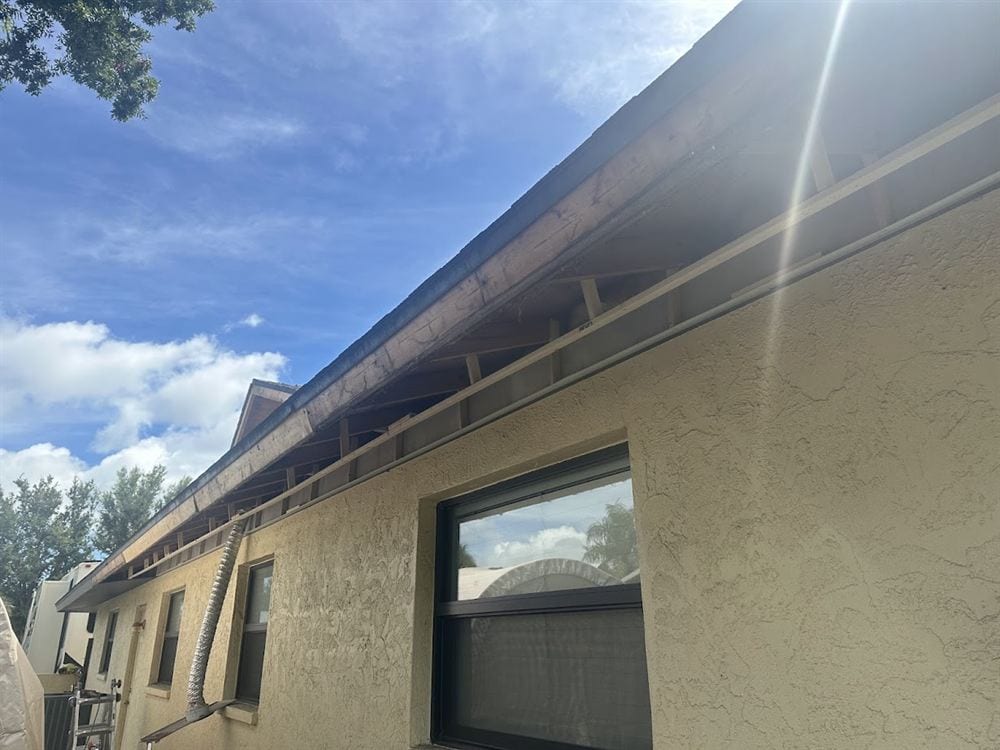 Rafter tails and sub-fascia exposed during repair.
